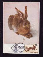 LAPINS,RABBIT,CM,MAXICARD,CARTES MAXIMUM,1998,ROMANIA - Lapins