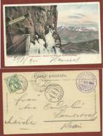 SVIZZERA - EIGERGLETSCHER - STATION EIGERWAND - VIAGGIATA 1904 - Escalade