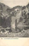 SUISSE- Ref B973- Lac De Caudrez Pres Grandvillard  -carte Bon Etat - - Grandvillard