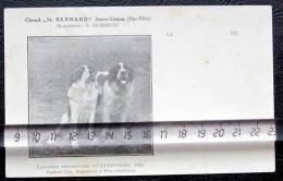 Sarre-Union Rare Chenil Silbereiss Saint Bernard 1926 - Sarre-Union