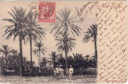 TUNISIE - KAIROUAN REGENCE DE TUNIS  LE 11-6-1903 SURCARTE DE GABES POUR LA FRANCE - Autres & Non Classés