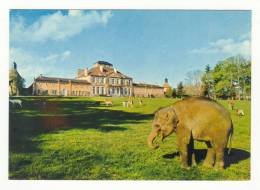 ELEPHANT DEVANT LE CHATEAU SAINT AUGUSTIN ALLIER - Elefanti