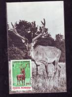 DEER,CM,CARTES MAXIMUM,MAXICARD,1981,ROMANIA - Game