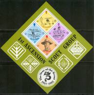 1982 Ascensione Scout Scoutisme Scouting Block MNH** -Sc26 - Unused Stamps