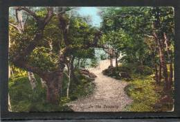 BEDFORD - IN THE LANDSLIP     ~ 1910 - Autres & Non Classés