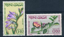 Maroc  :  Yv  481-82  ** - Morocco (1956-...)