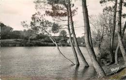 MOISDON LA RIVIERE        LA FORGE   BORDS DE L ETANG - Moisdon La Riviere