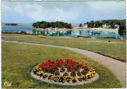 Delcampe - Saint Briac - La Baie Et Le Nessey - Saint-Briac