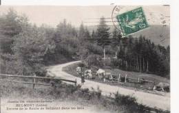 BELMONT (LOIRE) ENTREE DE LA ROUTE DANS LES BOIS  (FEMME ET TROUPEAU DE VACHES)  1912 - Belmont De La Loire