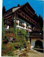 Allemagne - Hinterzarten - Hotel Pension Waldhaus Tannenhain 2 - Hinterzarten