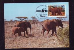ELEPHANTS,CM,CARTES MAXIMUM,MAXICARD,1983,UGANDA - Elefanten