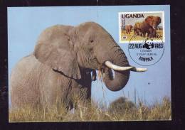 ELEPHANTS,CM,CARTES MAXIMUM,MAXICARD,1983,UGANDA - Elefanten