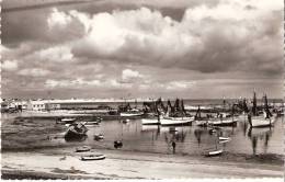 29 LESCONIL Le Port Et La Plage Des Sables Blancs - Lesconil