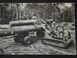 Environs De KANGO (Gabon) - Chantier Forestier - Chargement Des Troncs D'arbres - Correspondance - Gabon