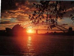 (530) NSW - Sydney Sunset - Bridge & Opera House - Sydney