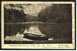 Teutoburger Wald  -  Donoper Teich -  Ansichtskarte Ca.1920   (1416) - Detmold