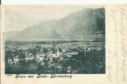 SUISSE - GRUSS AUS BUCHS  -  WERDENBERG - PRECURSEUR  1903 - Buchs