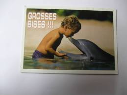 EL- ENFANT ...GROSSES BISES.. - Dolphins