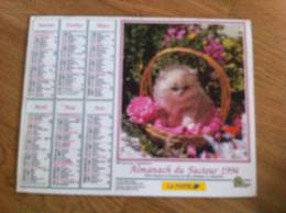 Calendrier Grand Format 1994 OLLER  Chatons Persan Chatons Somalis - Grossformat : 1991-00