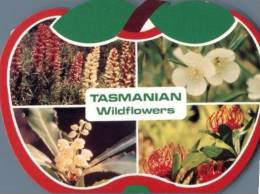 (555) TAS - Wildflower (card Shaped As An Apple) - Other & Unclassified