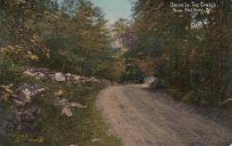 Drive In The Dingle, Near Halifax, N.S. Postmark Halifax, NS SEP 4 1913 With Slogan Cancel Provincial Exhibition - Halifax