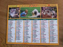 Calendrier Grand Format 1998 Lavigne Chaton Fillette Et BOBAIL CHIOTS HUSKIES - Groot Formaat: 1991-00