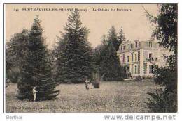89 SAINT SAUVEUR EN PUISAYE - Le Chateau Des Baronnets - Saint Sauveur En Puisaye