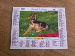 Calendrier Grand Format 1999 OLLER Berger Allemand Chaton - Grossformat : 1981-90