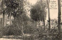 Angers  Catastrophe  Cyclone Du 4 Juillet 1905  Bd Henri Arnault - Angers