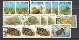 Lot 99  Turtles  16  Different - Tortugas