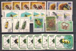 Lot 98   Insects   26 Different - Other & Unclassified