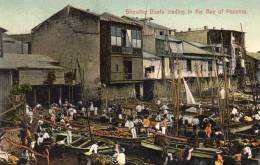 Showing Boats Trading InThe Bay Of Panama 1905 Postcard - Panamá