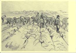 Dessin, 1888, Vincent Van Gogh 'planter Des Vignes'  (Arles (13) - Travail Au Champ, Ouvriers, Agriculture / Non écrit - Van Gogh, Vincent