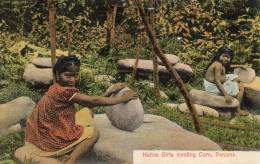 Native Girls Mealing Corn Panama Types 1905 Postcard - Panamá