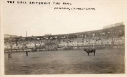 Bull Fight Panama Canal Zone Old Real Photo Postcard - Panama