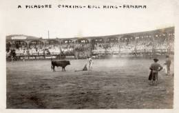 Bull Fight Panama Canal Zone Old Real Photo Postcard - Panama