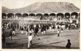 Bull Fight Panama Canal Zone Old Real Photo Postcard - Panama