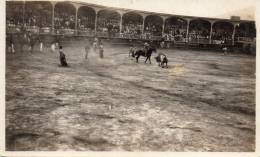 Bull Fight Panama Canal Zone Old Real Photo Postcard - Panamá