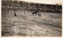 Bull Fight Panama Canal Zone Old Real Photo Postcard - Panama