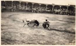 Bull Fight Panama Canal Zone Old Real Photo Postcard - Panama