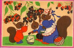 12 / 11 / 273  -  FRUITS POUR LE DINER   ( Signé  Willy  SCHEMELE ) - Schermele, Willy