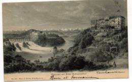 Rheinfall  Mit Hôtel Schweitzerhof  Neuhausen  Schaffhausen - Neuhausen Am Rheinfall