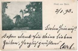 Horn Austria, Schloss Horn Castle, C1890s Vintage Postcard - Horn