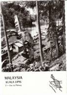 Kuala Lipis Malaysia View Of Buildings On River, C1950s Vintage Real Photo Postcard - Malaysia
