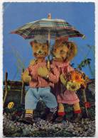Animaux Personnalisés---couple Sous Parapluie,cpsm  10 X 15 N° 2019 éd Kiener--carte Suisse - Gekleidete Tiere