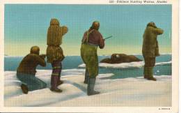 ESKIMOS HUNTING WALRUS ALASKA - Other & Unclassified