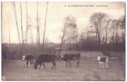 89 - YONNE - VILLENEUVE LA GUYARD - 8. - LES PATINES. PRES. VACHES CHEVAL. PATURAGES. - Villeneuve-la-Guyard