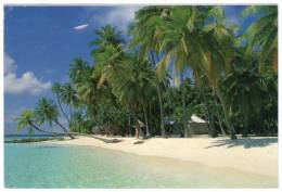 MALDIVE ISLANDS - THEMATIC STAMP/WINDSURFING - Maldive