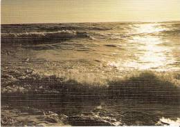 Dunes - Plages- Mer - Soleil - Plaisirs De L'Eté - U-2 - Contre La Lumière