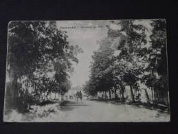 DAMAZAN (Lot-et-Garonne) - Boulevard Du Midi - Attelage - Animée - Correspondance - Damazan